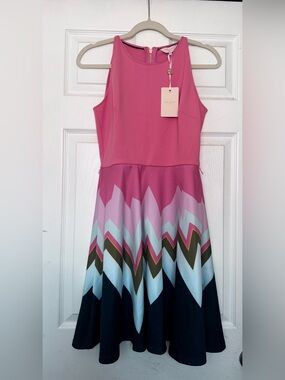 Ted Baker Pink Multi-Chevron Fit & Flare Dress